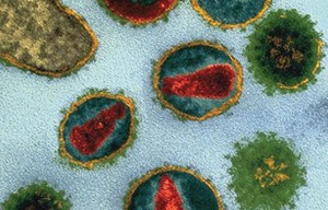 Microbe_Detectives