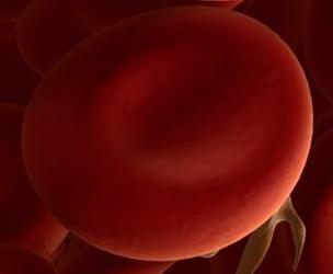 Do humans have blue blood?