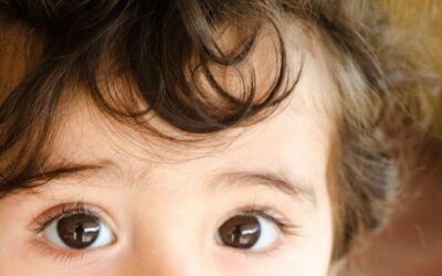 What do I inherit from my parents?
