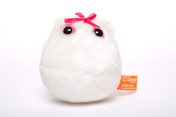 GIANTmicrobes® - Egg cell