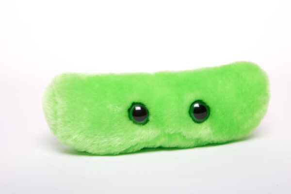 GIANTmicrobes® - Tuberculosis