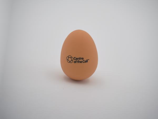 Bouncing Egg
