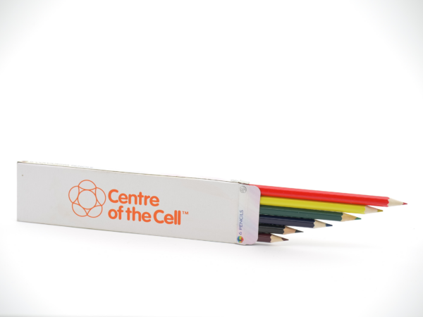 Colouring pencils