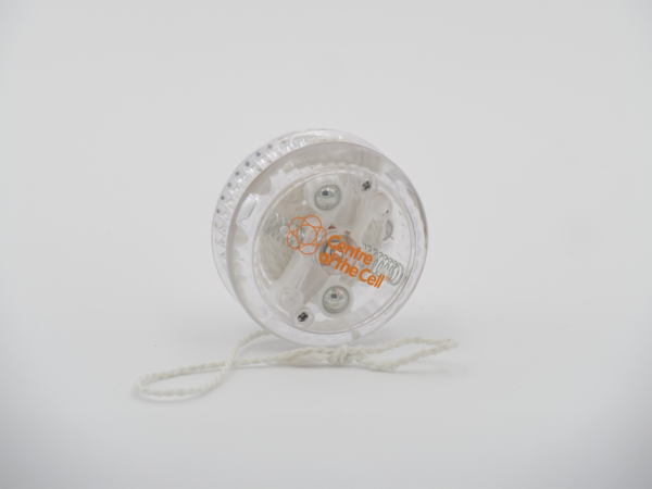 Flashing Yo-Yo