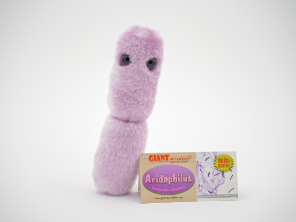 GIANTmicrobes® - Acidophilus