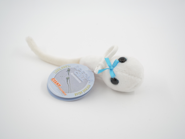 GIANTmicrobes® - Sperm cell key chain
