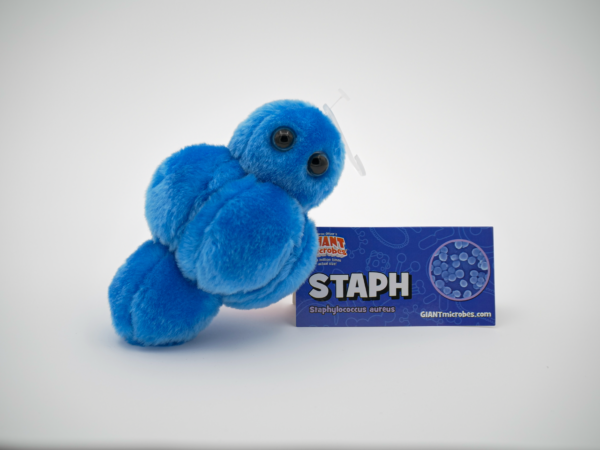 GIANTmicrobes® – STAPH