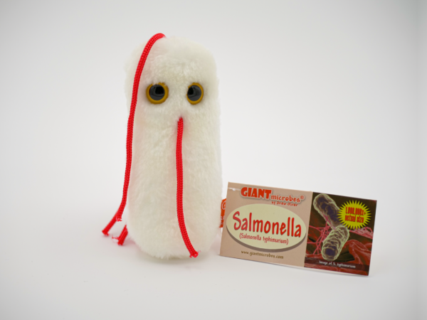 GIANTmicrobes® - Salmonella