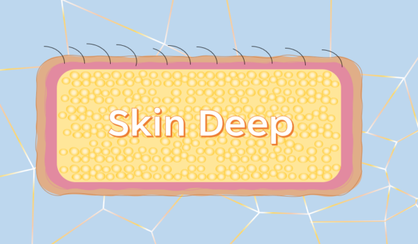 Skin Deep and STEM Pod Experience
