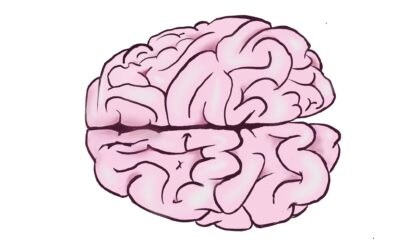 Is it true people can be right/left brained?
