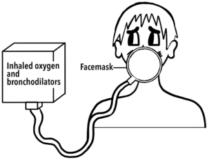 Image of Bronchodilator mask