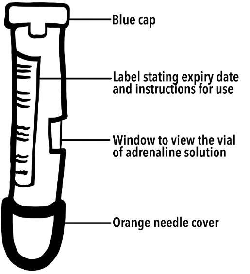 What is an epipen? - Centre of the Cell