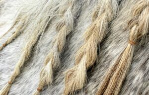 Image of braided hair
