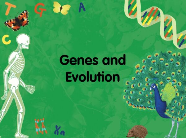 August - Genes and Evolution & STEM Pod Experience