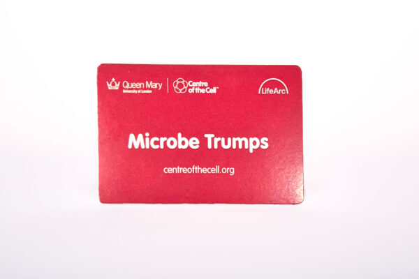 Microbe Trumps - 1 pack (New)