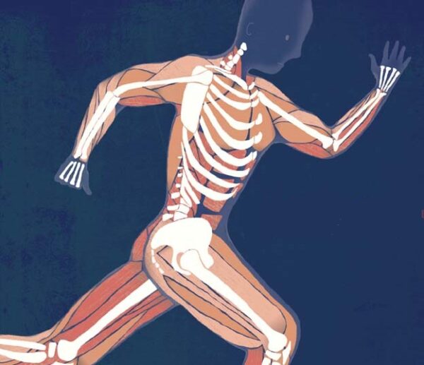 August - Beneath the Surface: Muscles and Bones & STEM Pod Experience