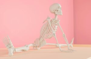 Image of a stretching skeleton