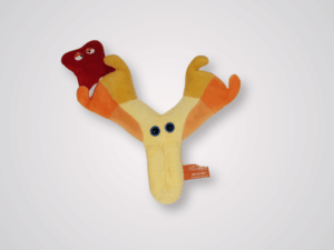 GIANTmicrobes® - Antibody
