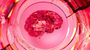 Image of a neon pink brain