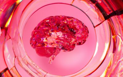 Can my gut health affect my mental health?