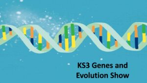 Title image for KS3 careers