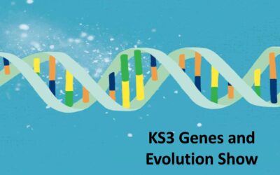 The Genes and Evolution Show KS3