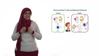 Gamma-Delta T cells and Behçet’s Disease: Friend or Foe?!