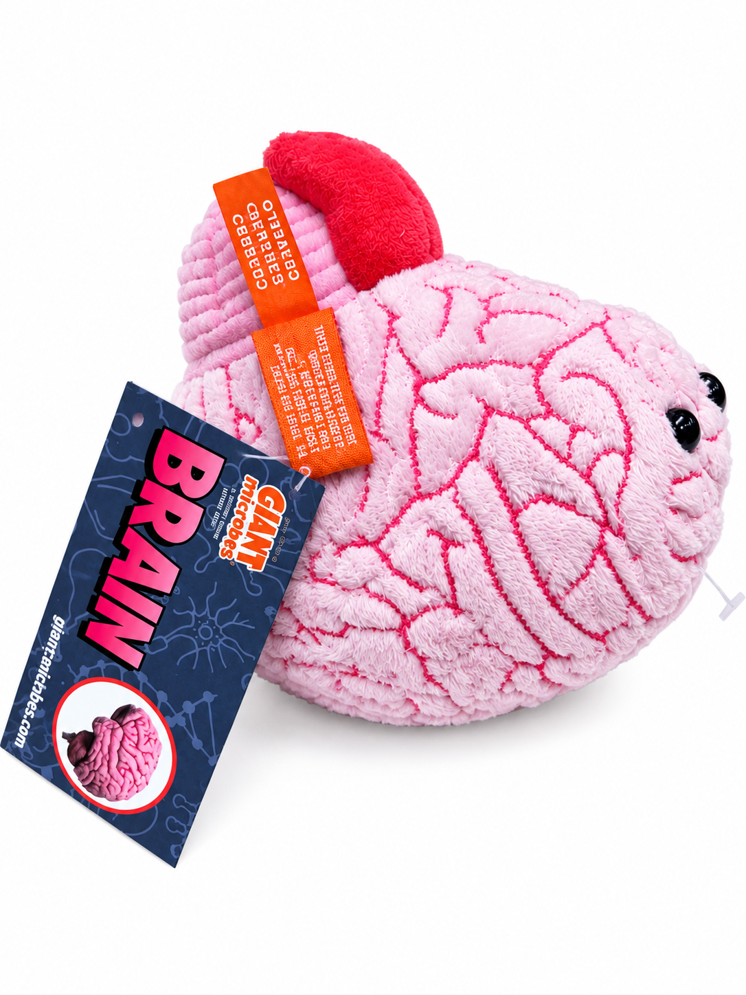 GIANTmicrobes- Brain Organ
