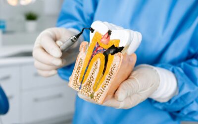 Applying to Dental School