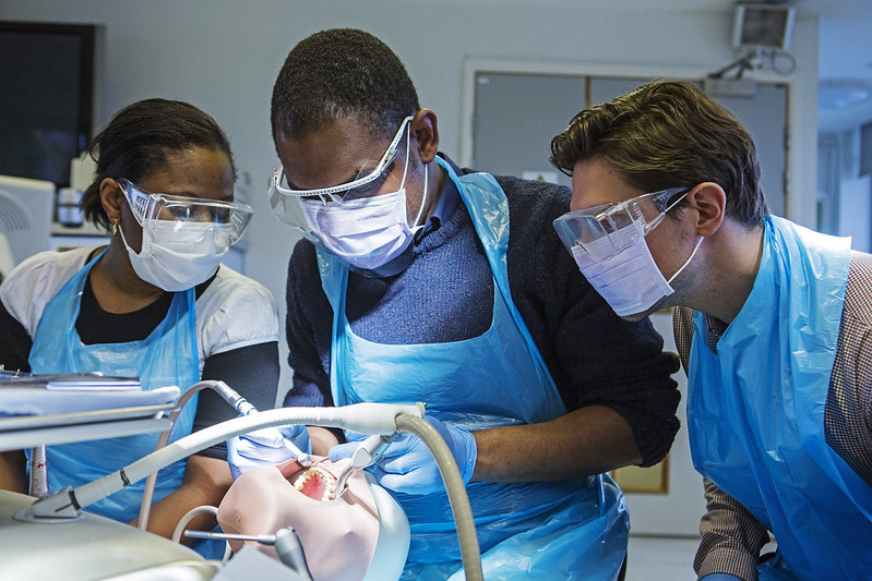 Work experience for medicine, dentistry and biosciences Centre of the