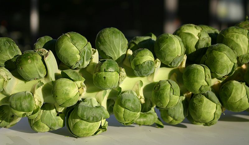 Why Do Some People Hate Brussels Sprouts Centre Of The Cell