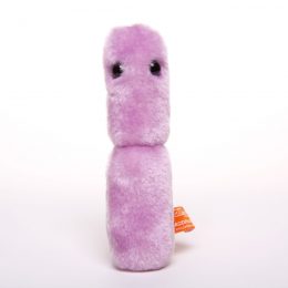 Picture of a Acidophilus soft toy