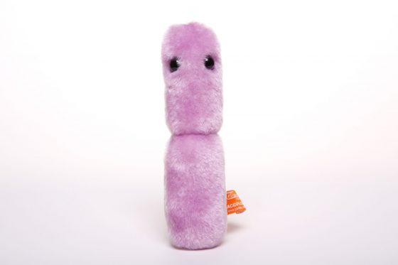 Picture of a Acidophilus soft toy