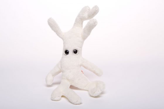 picture of bone cell soft toy