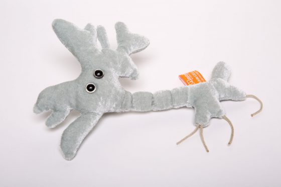 Educational Toy Giant Microbes Brain Cell Neuron Psychology Gift 