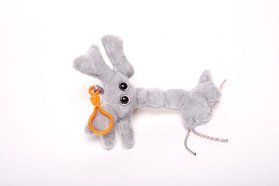 picture of brain cell keychain