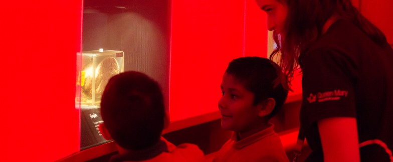 Primary school pupils looking at the brain specimen in the Pod