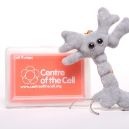 Picture of a cell trumps card game and soft toy