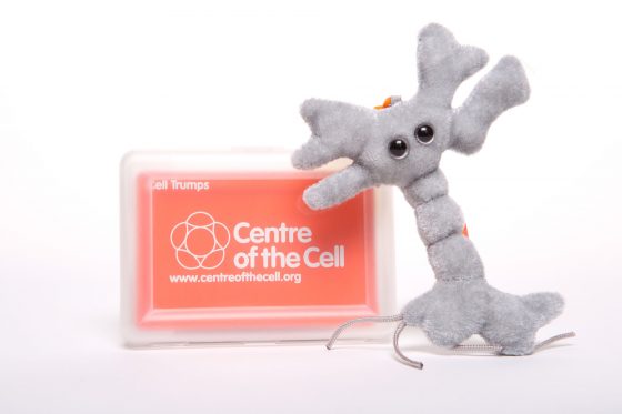 Picture of a cell trumps card game and soft toy