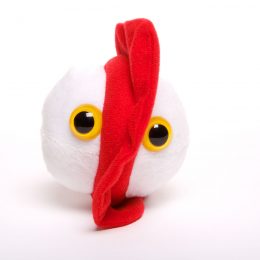 picture of a chicken pox soft toy