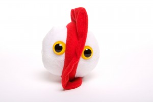 picture of a chicken pox soft toy