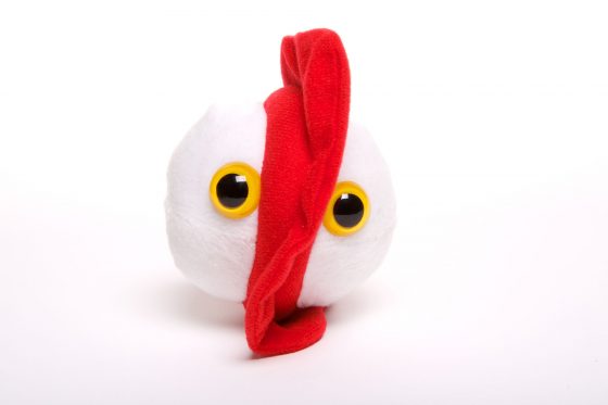 picture of a chicken pox soft toy