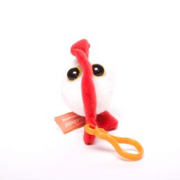 picture of chicken pox keychain