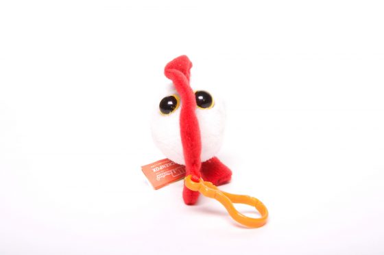 picture of chicken pox keychain