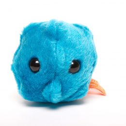 picture of common cold microbe toy