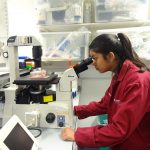 Summer school student using a microscope