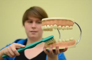 Picture of teeth model and toothbrush