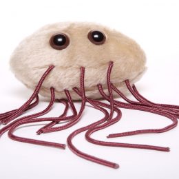 picture of E. Coli microbe toy