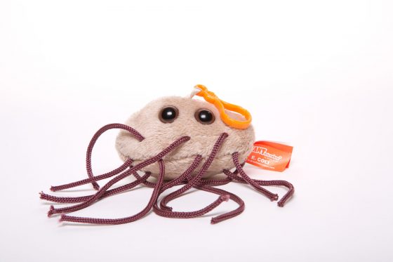 picture of e. coli keychain