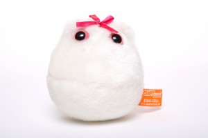 Egg cell plush toy